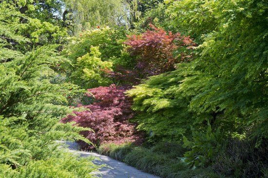 Sunset Magazine Headquarters and Gardens